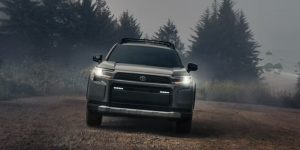 The front-facing portion of a Toyota RAV4 with headlights turned on, in front of a misty beach forest backdrop.
