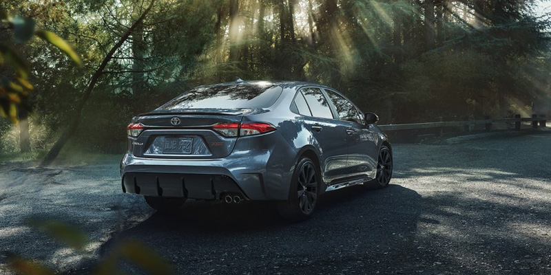 Rear view of gray Toyota sedan parked on a forested road with sunlight filtering through the trees.
