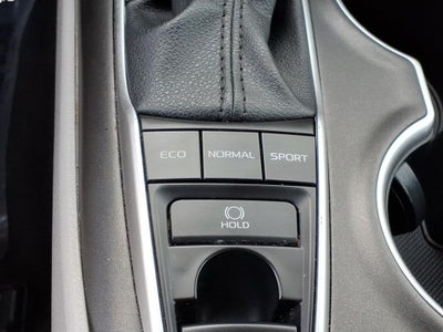 2024 Toyota Camry XLE V-6