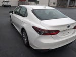 2024 Toyota Camry Hybrid LE Moonroof, Audio Plus