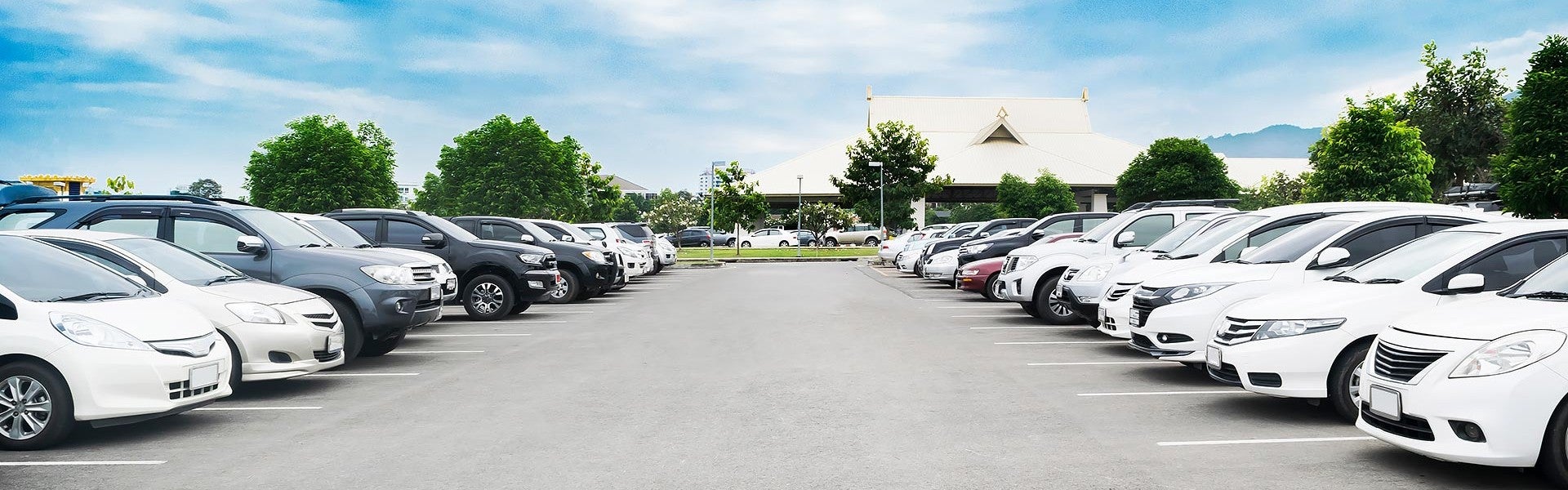 Rows of used cars parked in a dealership lot.